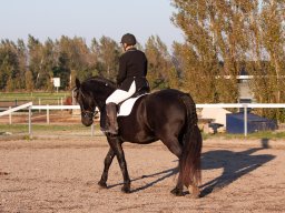 IMG_7716_web
